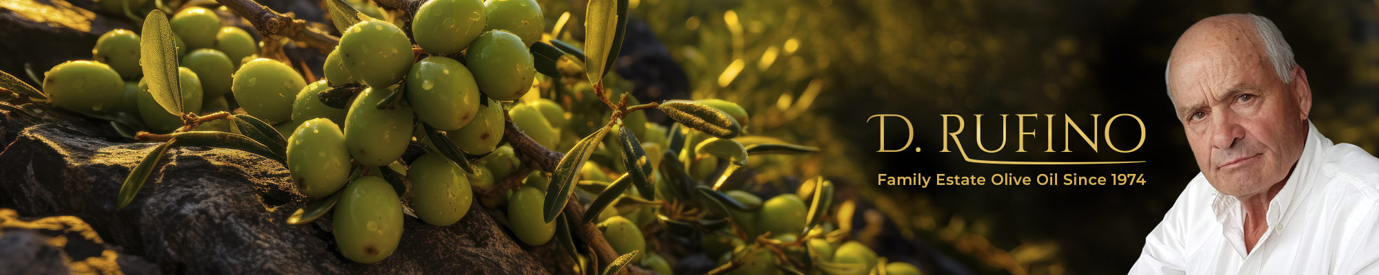Banner D. Rufino_1